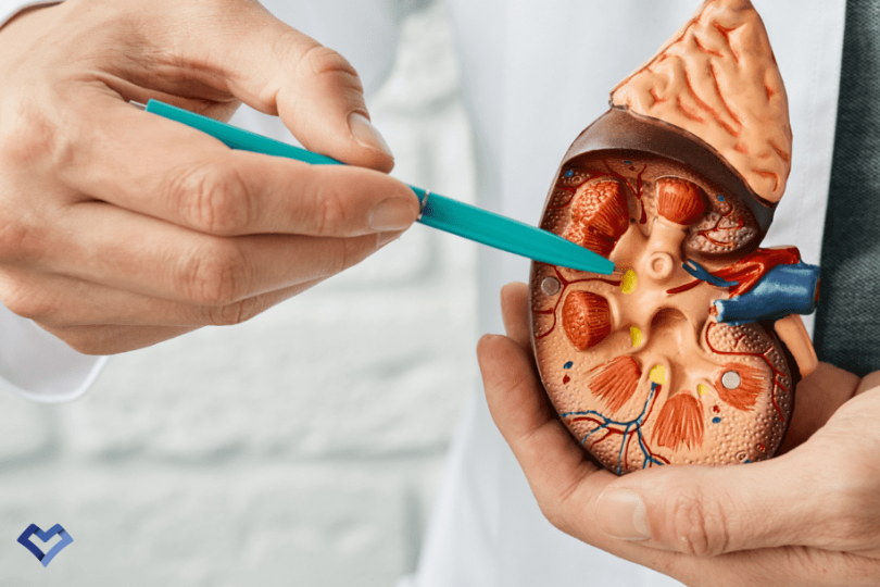 کلیه پلی کیستیک چیست و چگونه درمان می شود؟
