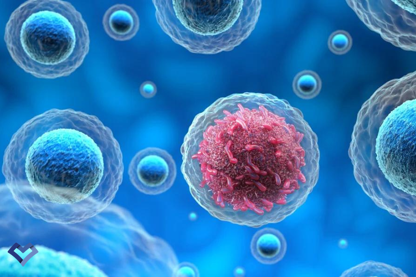 پیشگیری از سرطان